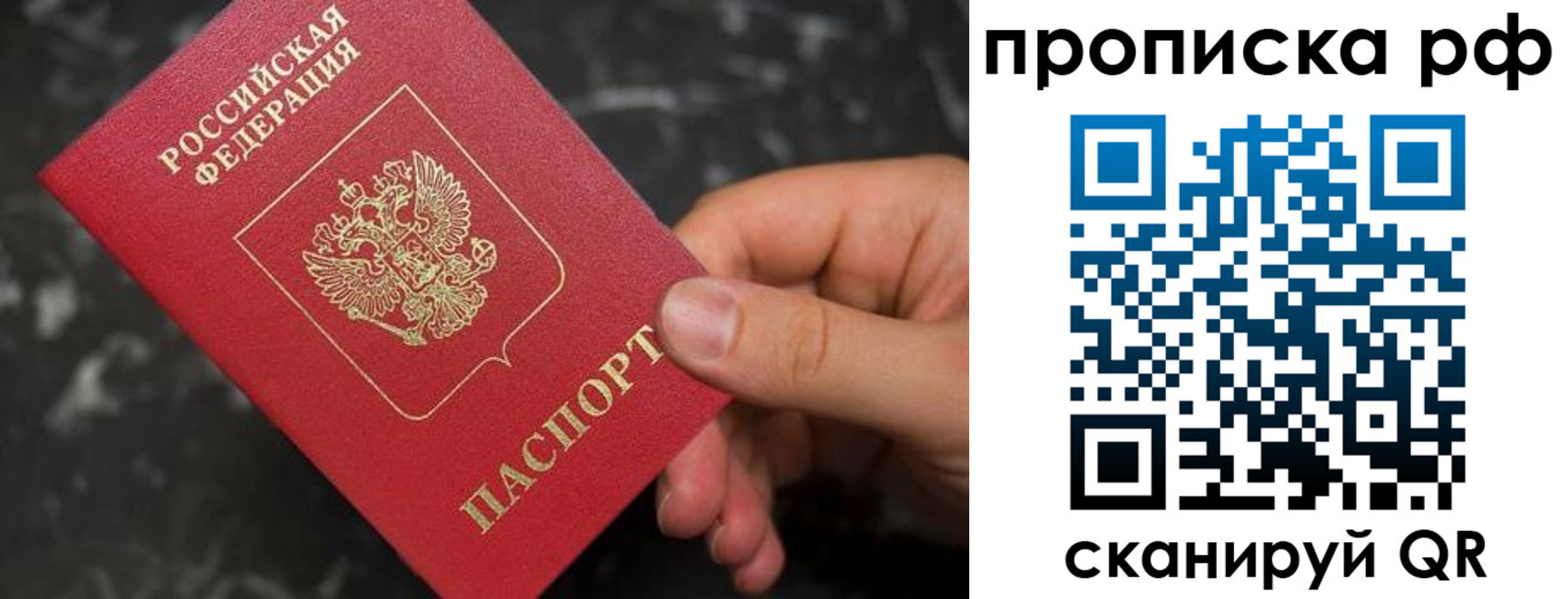 прописка 2025 в Новозыбкове